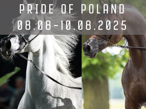 WEEKEND Z PRIDE OF POLAND